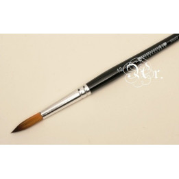 copy of 